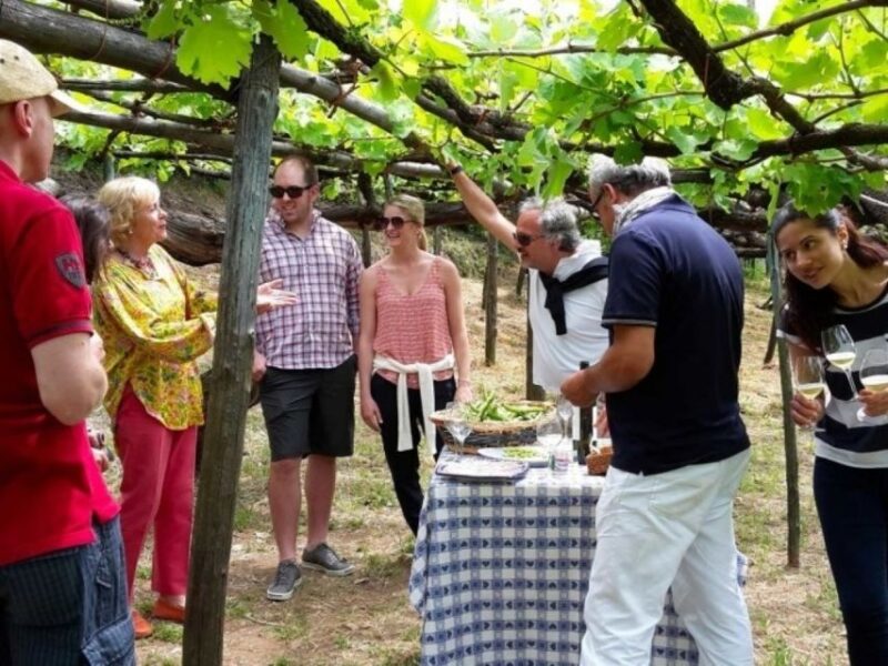 Tramonti: Tenuta San Francesco Wine Tasting - Pairing With Local Snacks