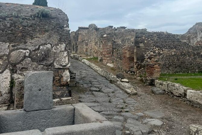 Tramvia Napoli Daily Trip to Pompeii Ruins - Highlights and Features