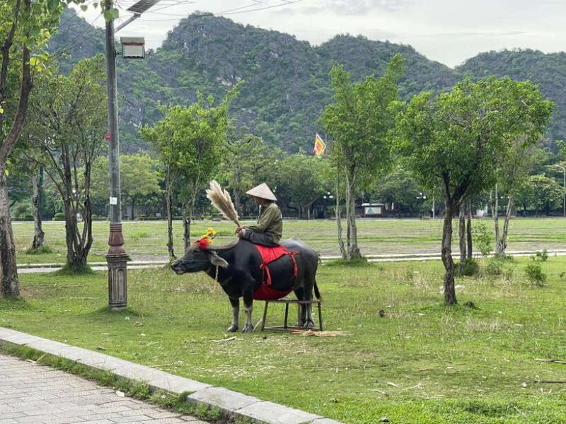 Trang An - Mua Cave - Hoa Lu - Biking - Visiting Local Family - Afternoon Highlights: Trang An Caves and Hoa Lu
