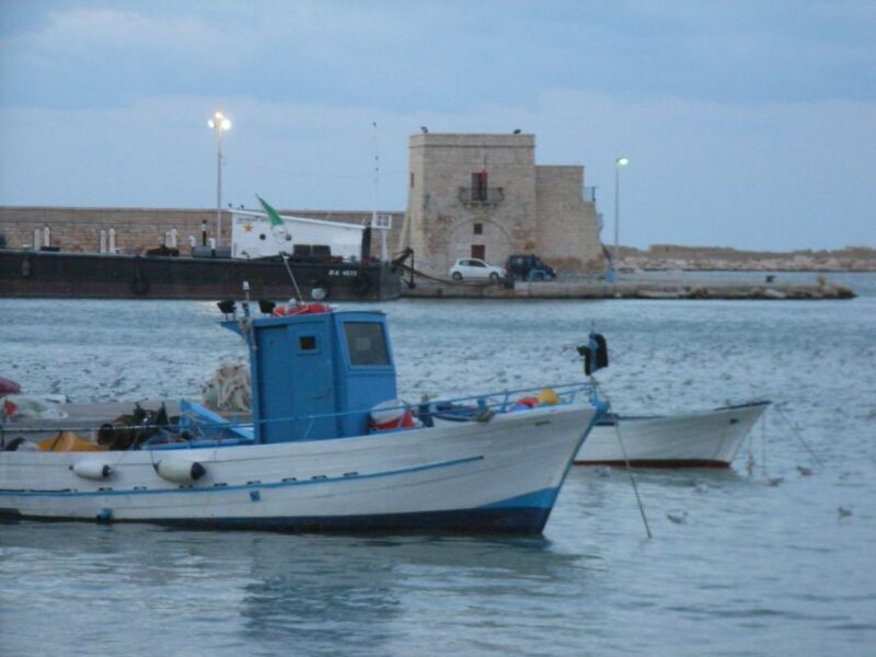 Trani: Walking Tour - Tour Overview