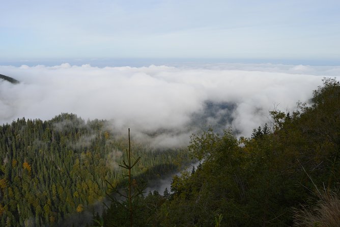 Transfagarasan, Vidraru and Poenari Fortress Tour From Sibiu - Transfagarasan Highway Drive