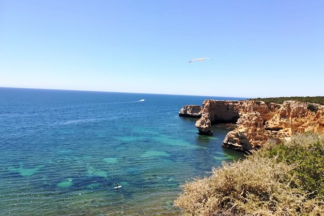 Transfer Algarve & Andalusia. Algarve or Andalusia Origin Option - Cancellation Details