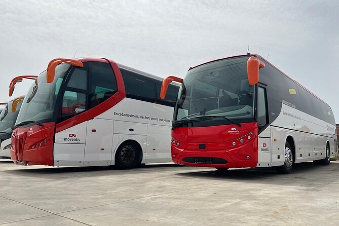 Transfer Arrival Shuttle Reus Airport to Salou - Key Points