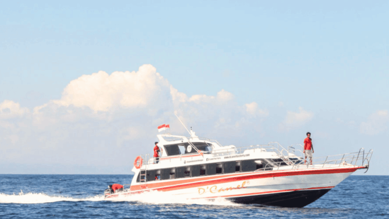 Transfer Between Bali Sanur and Nusa Lembongan - Customer Reviews and Feedback