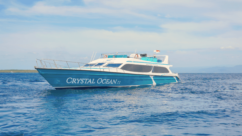 Transfer Between Sanur and Gili Island - Customer Feedback and Ratings