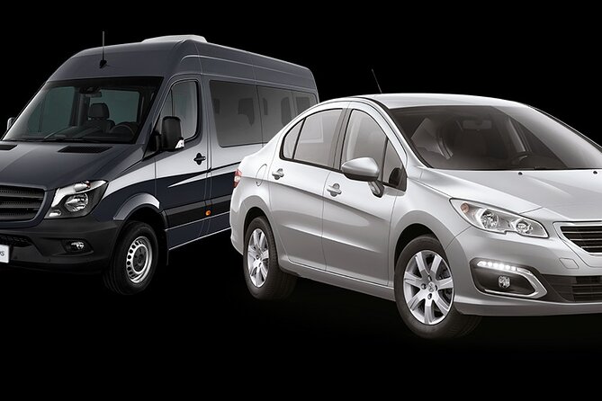 Transfer Buenos Aires Downtown Hotel Transfer to International Airport (Eze) - Accessibility and Accommodations
