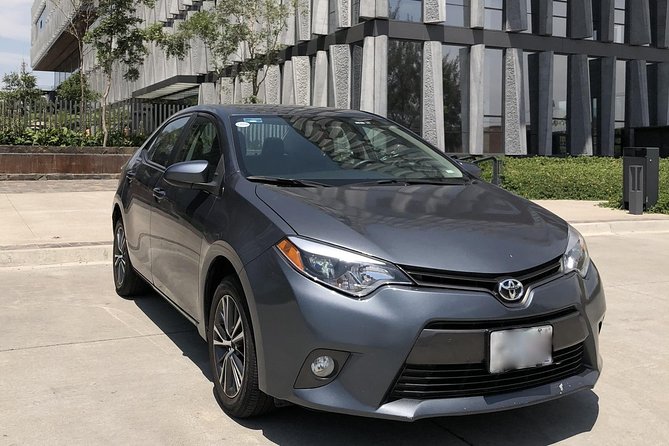 Transfer by Car to or From Guadalajara Airport - Customer Ratings and Feedback