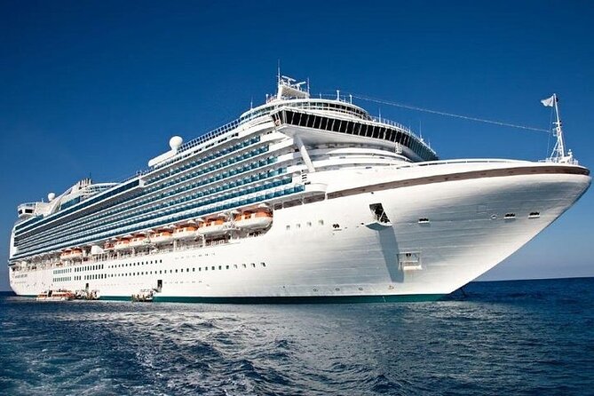 Transfer Civitavecchia Port to Airport Area - Customer Feedback and Ratings