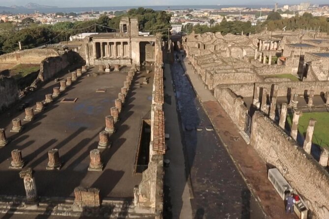 Transfer Fiumicino FCO Airport To/From Sorrento Optional Pompeii Stop - Inclusions and Exclusions Overview