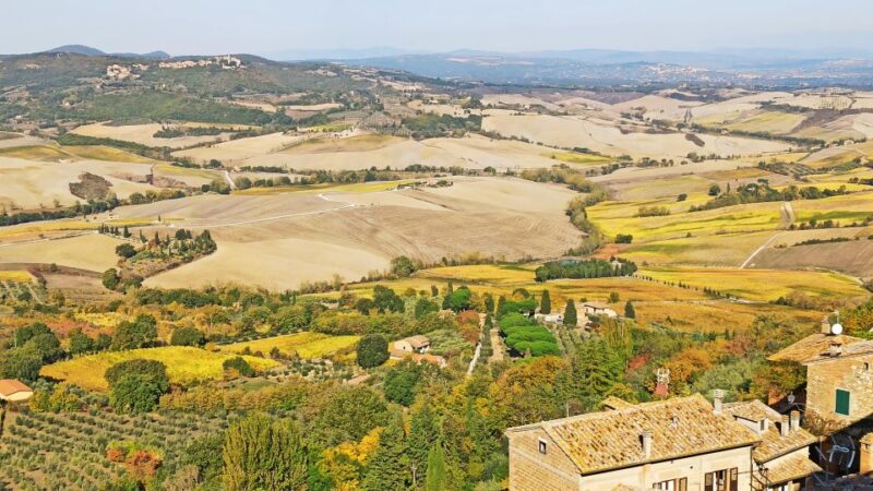 Transfer Florence-Rome With Stops in S Gimignano & Montepulc - Transfer Details