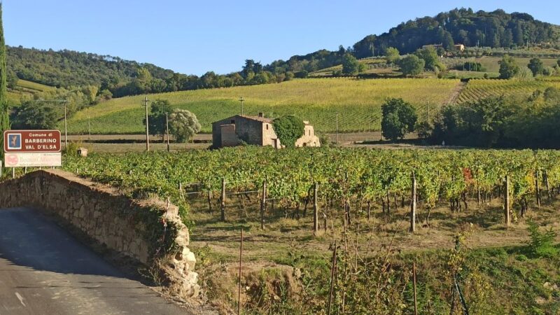 Transfer Florence-Siena With Visit to Chianti and Tasting - Transportation Details