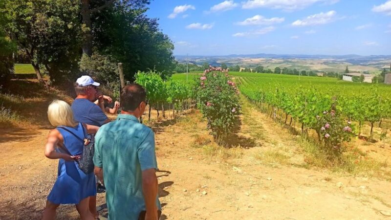 Transfer Florence-Siena With Visit to Chianti and Tasting - Inclusions and Exclusions