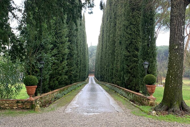 Transfer Florence to Pisa - Accessibility and Amenities