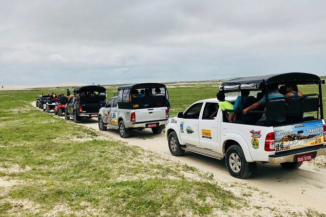 Transfer Fortaleza to Jericoacoara - Accessibility and Accommodations