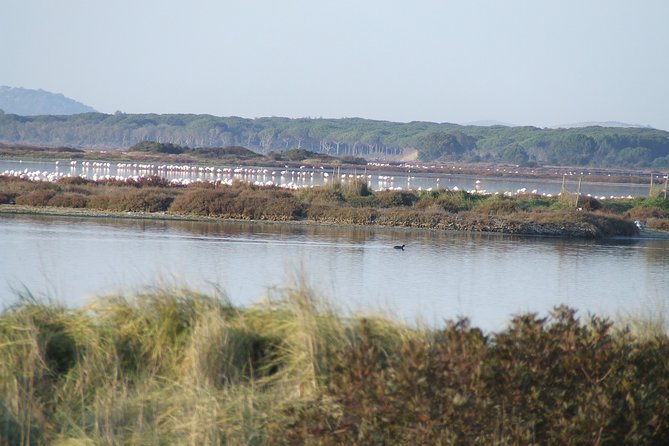 Transfer Forte Dei Marmi To/From Rome Optional Orbetello Stop - Group Size Considerations