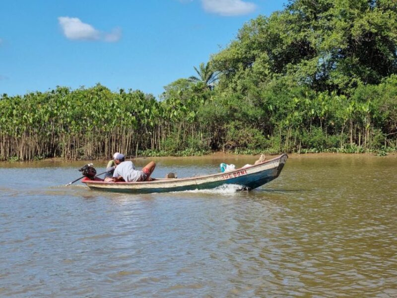 Transfer From Barreirinhas to Parnaiba - Key Points