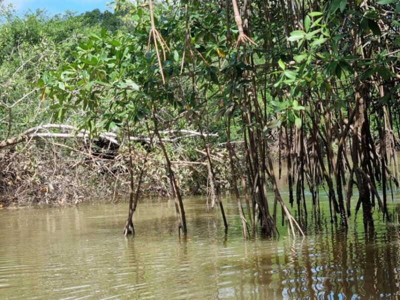 Transfer From Barreirinhas to Parnaiba - Frequently Asked Questions