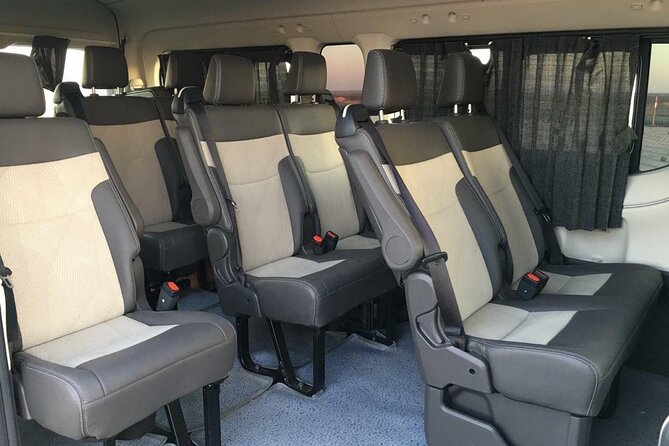 Transfer From Cairo Airport to Hotel at Cairo or Giza - Accessibility