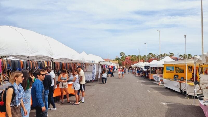 Transfer From Caleta De Fuste to Corralejo With Free Time - Experience and Attractions