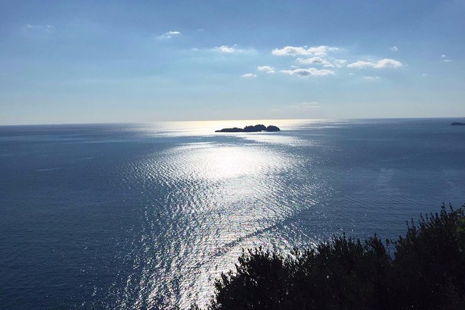 Transfer From Civitavecchia to Positano - Communication With Provider