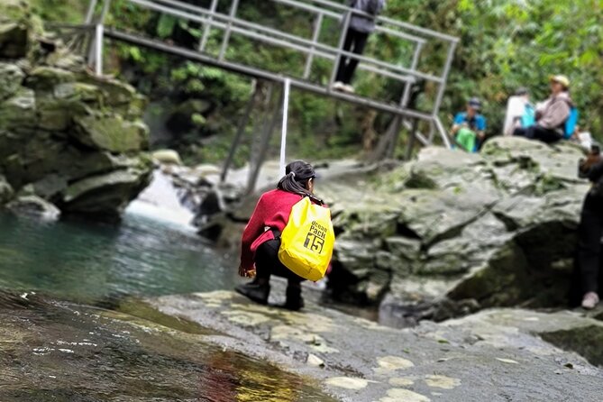 Transfer From Da Nang or Hoi an to Hue via Bach Ma National Park - Reviews and Ratings