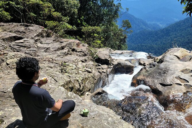 Transfer From Da Nang or Hoi an to Hue via Bach Ma National Park - Accessibility and Participation