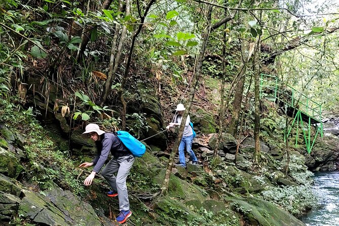 Transfer From Hue to Da Nang or Hoi an via Bach Ma National Park - Overview of the Transfer Route