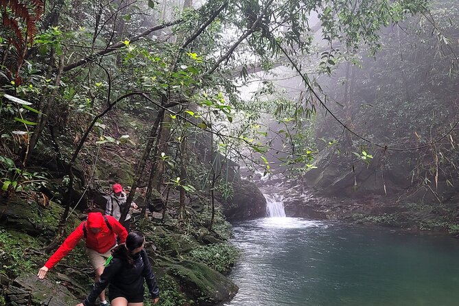 Transfer From Hue to Da Nang or Hoi an via Bach Ma National Park - Accessibility Considerations