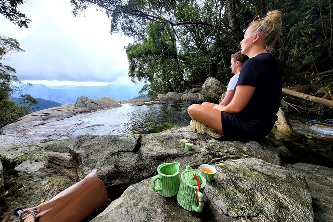 Transfer From Hue to Da Nang or Hoi an via Bach Ma National Park - Positive Guest Experiences
