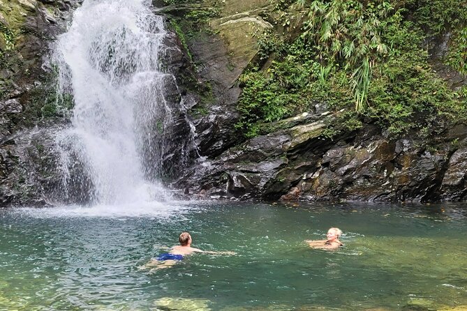 Transfer From Hue to Da Nang or Hoi an via Bach Ma National Park - Exploring Bach Ma National Park