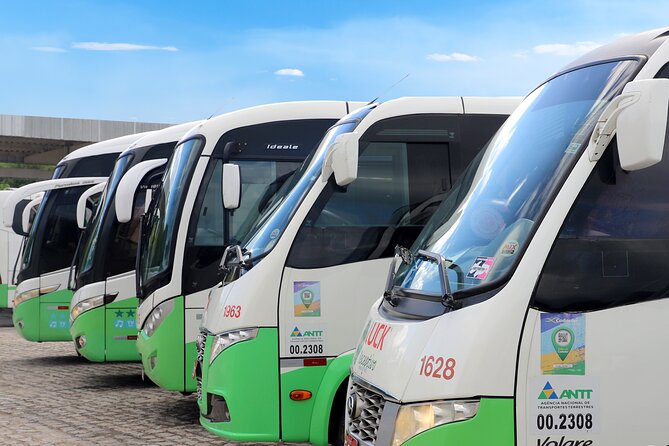 Transfer From João Pessoa Hotel to Recife Airport - Key Points