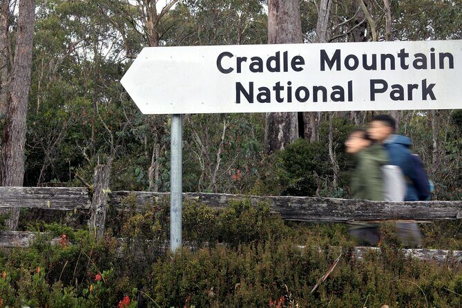 Transfer from Launceston to Cradle Mountain - An Overview of the Transfer Service
