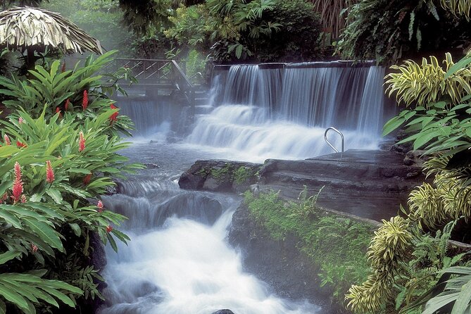 Transfer From Liberia Airport To Arenal La Fortuna San Carlos - Included Amenities and Services