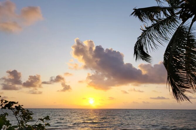 Transfer From Maceió to São Miguel Dos Milagres - Customer Reviews and Ratings