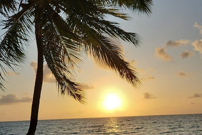 Transfer From Maceió to São Miguel Dos Milagres - Booking and Cancellation Policy