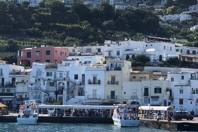 Transfer From Naples Area to Amalfi Coast Area and Vice Versa - Customer Reviews