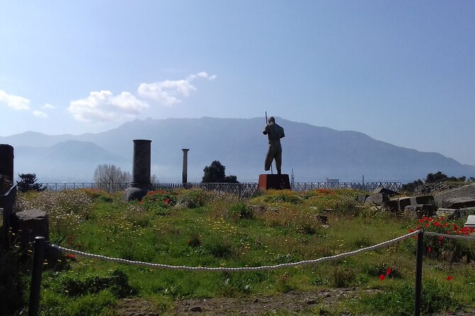 Transfer From Naples Area to Sorrento With 2hr Stop in Pompeii - Discovering Sorrento