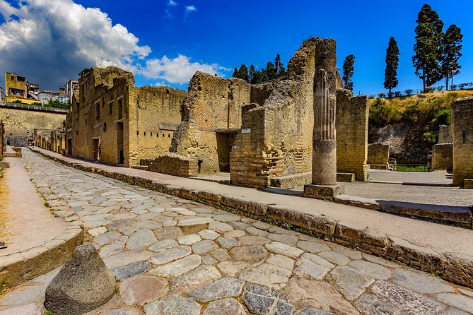 Transfer From Naples to Sorrento With 2 Hours Private Tour in Herculaneum - Booking and Cancellation Policy