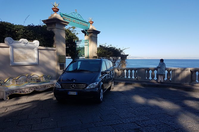 Transfer From Naples to Sorrento With 2 Hours Private Tour in Pompeii - Customer Reviews and Testimonials