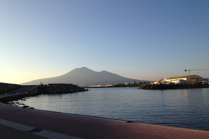 Transfer From Naples to Sorrento With 2 Hours Stop in Herculaneum With Private Guide - Key Points