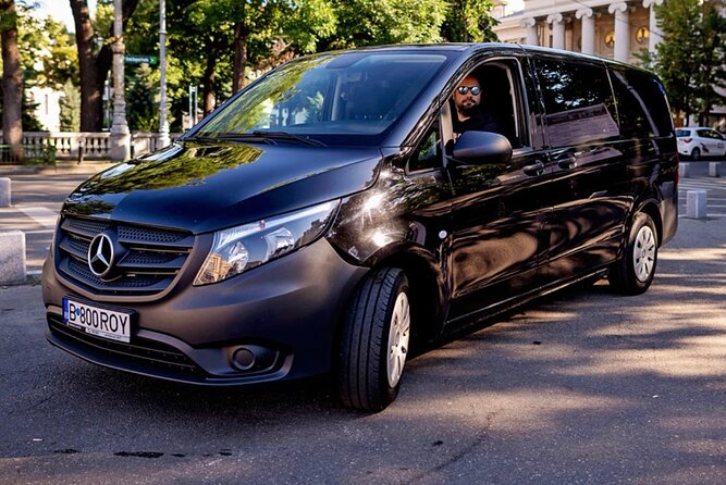Transfer From Otopeni Henri Coandă Airport to Bucharest or Back - Accessibility and Passenger Assistance