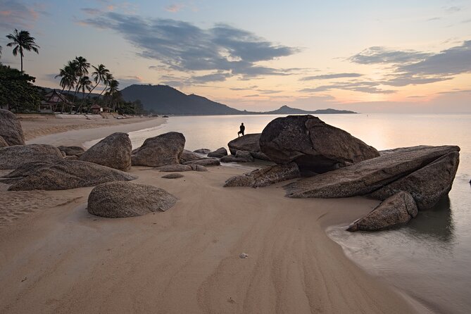 Transfer From Phuket Airport to Khao Lak Hotel - Flight Coordination and Logistics