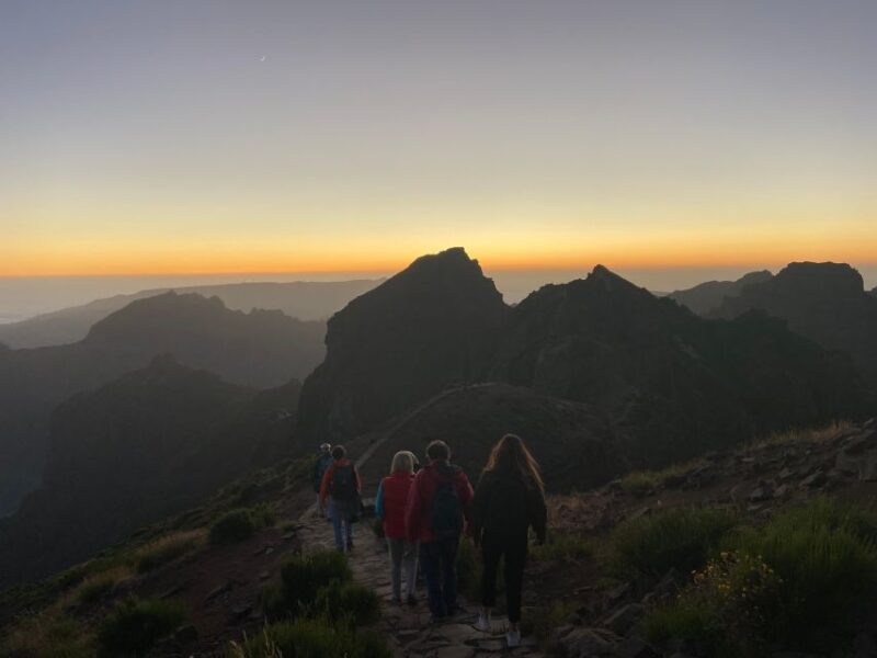 Transfer From Pico Do Areeiro to Achada Do Teixeira - Service Highlights