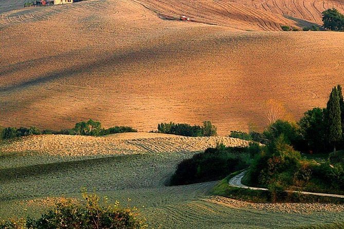 Transfer From Pisa Airport to Florence or From Florence to Pisa - Booking and Pricing Information