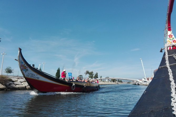 Transfer From Porto to Coimbra Visiting Aveiro, Half Day - Accessibility