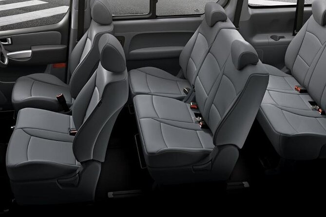 Transfer From Punta Cana Airport to Bavaro or Punta Cana - Vehicle and Driver Details