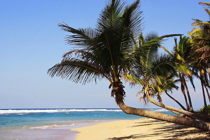 Transfer From Punta Cana PUJ Airport to Punta Cana Hotels by SUV - Questions About Your Stay