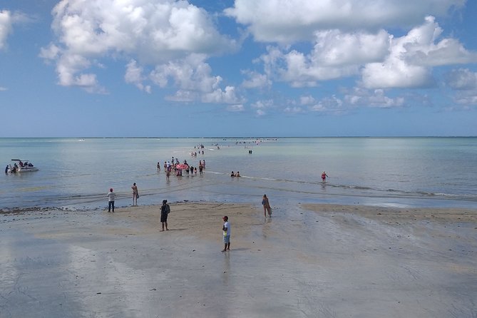 Transfer From Recife Airport to Maragogi/Al for 1 to 4 People - Customer Reviews