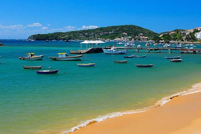 Transfer From Rio De Janeiro to Buzios for 4 People - Availability and Operating Hours