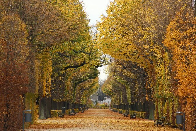 Transfer From Salzburg to Vienna: Private Daytrip With 2 Hours for Sightseeing - Pricing and Group Sizes